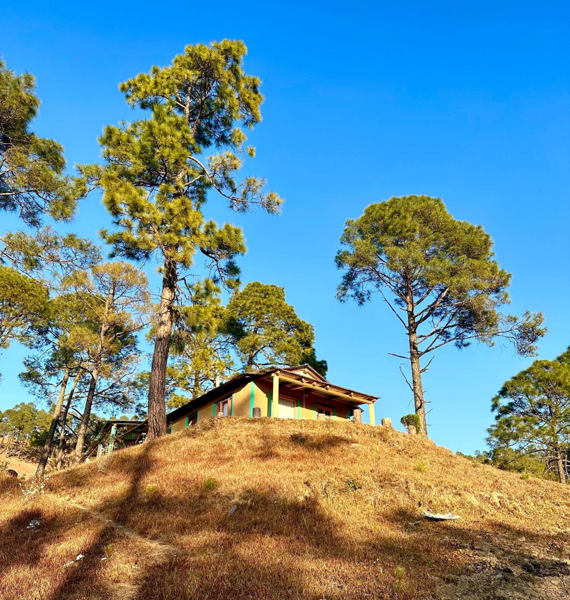 Joshi Cottage Binsar Eksteriør billede