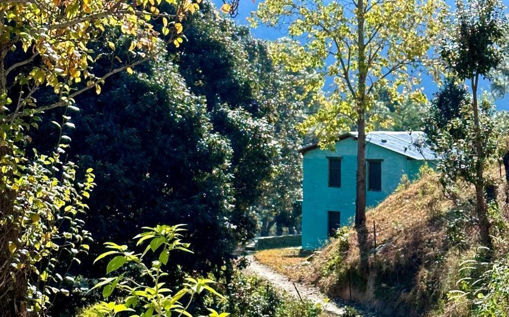 Joshi Cottage Binsar Eksteriør billede